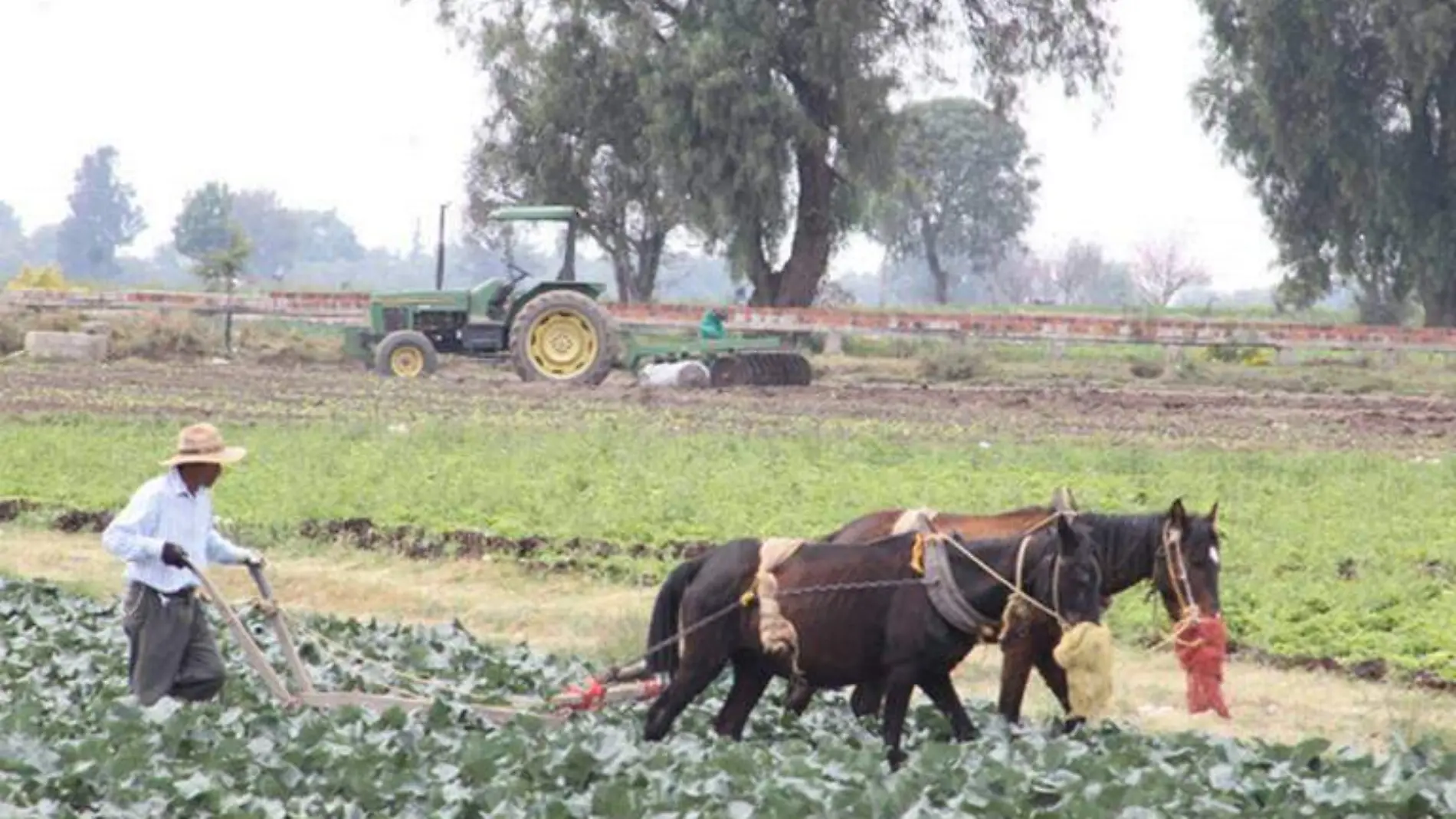 apoyo campo